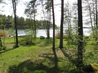  ID 29